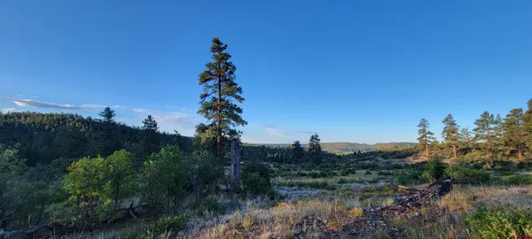 $650,000 | 5 Beaver Creek Ranch Drive, Bayfield, CO 81122