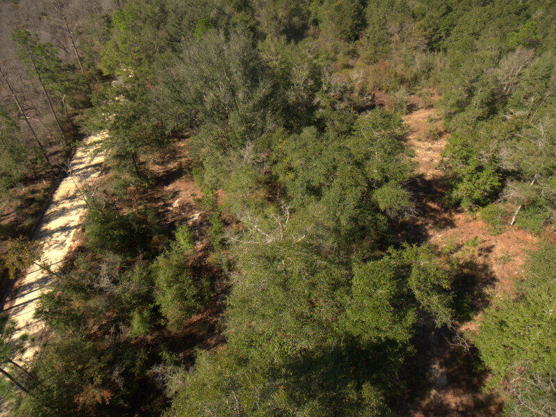 13 B Wiggins Road Holt, FL 32564 - Photo 1 of 15 DJI_0007