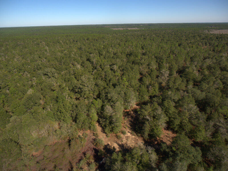 13 B Wiggins Road Holt, FL 32564 - Photo 11 of 15 DJI_0010