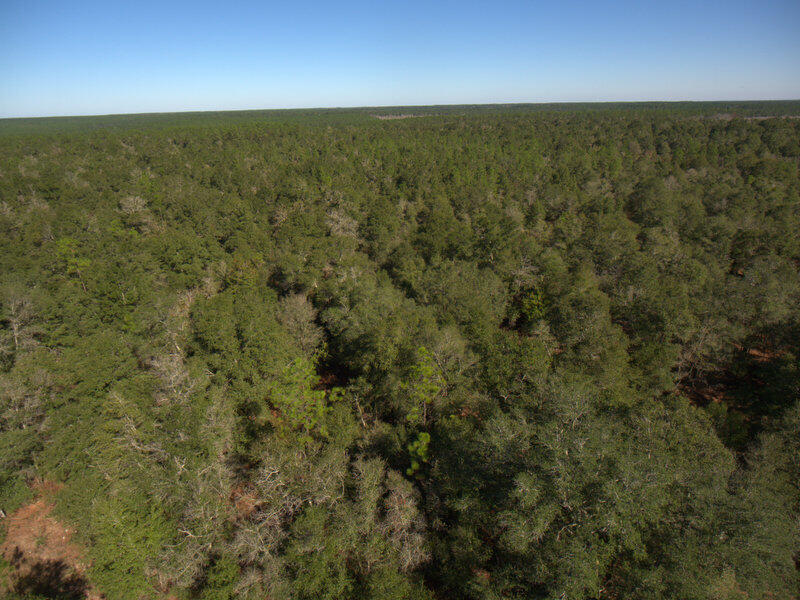 13 B Wiggins Road Holt, FL 32564 - Photo 12 of 15 DJI_0011