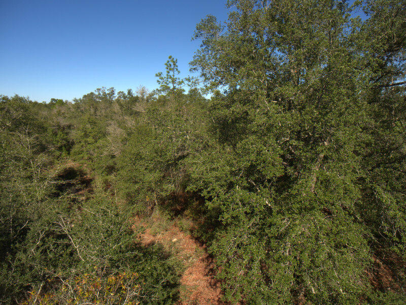 13 B Wiggins Road Holt, FL 32564 - Photo 13 of 15 DJI_0012