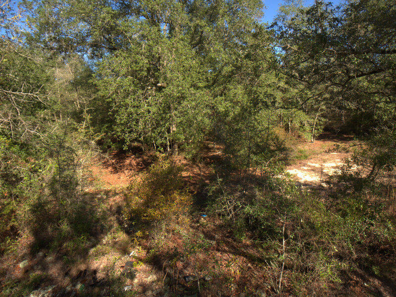 13 B Wiggins Road Holt, FL 32564 - Photo 14 of 15 DJI_0014