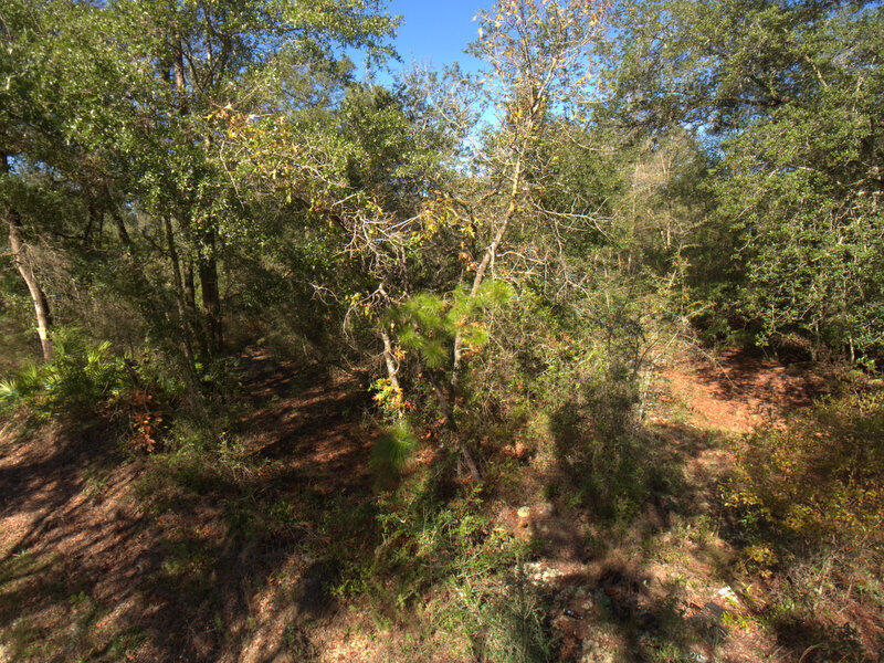 13 B Wiggins Road Holt, FL 32564 - Photo 15 of 15 DJI_0015