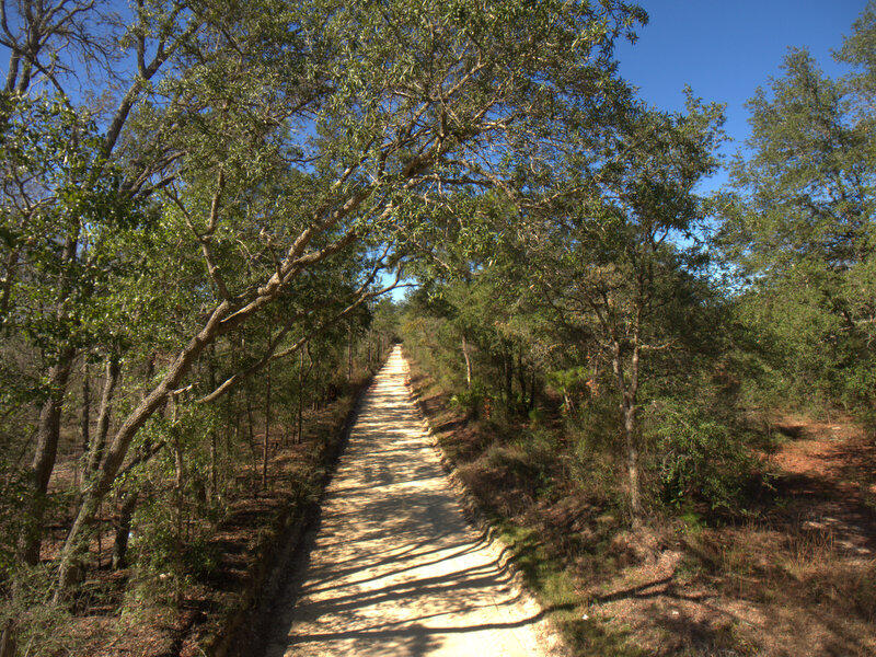 13 B Wiggins Road Holt, FL 32564 - Photo 3 of 15 DJI_0001