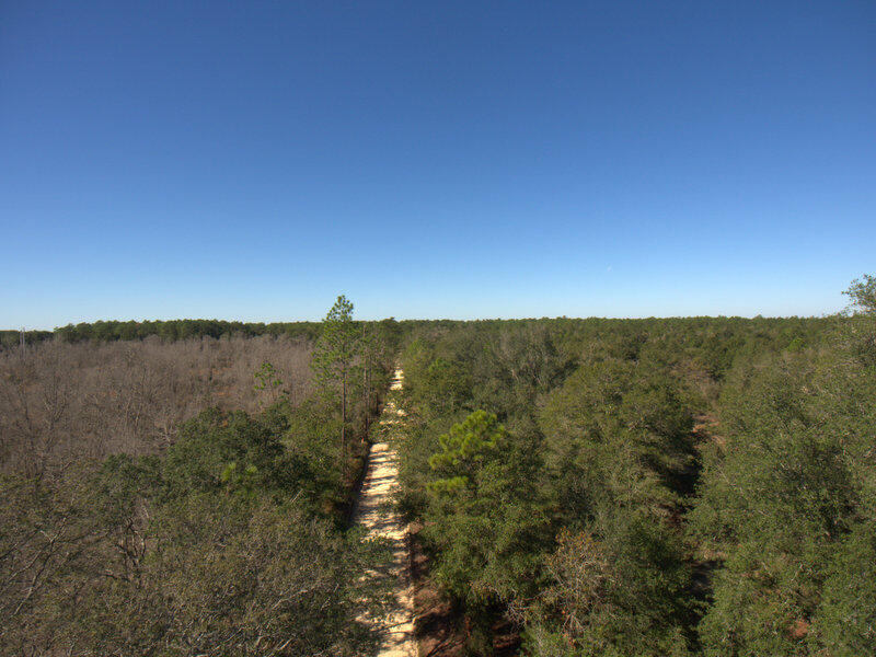 13 B Wiggins Road Holt, FL 32564 - Photo 4 of 15 DJI_0002