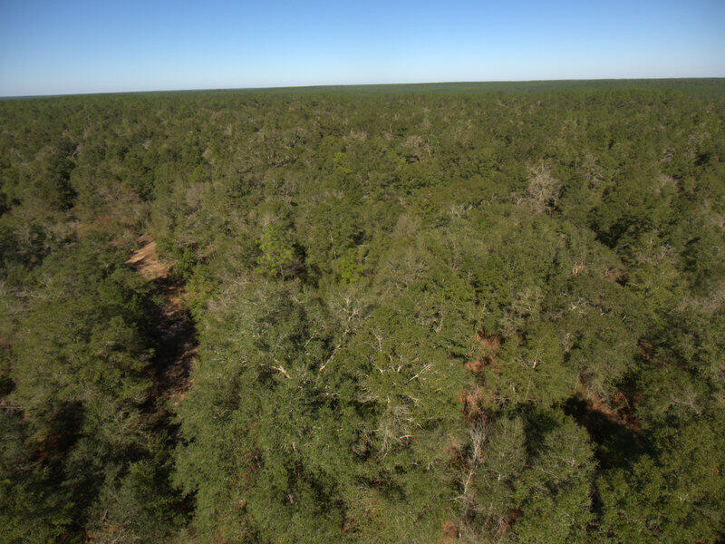 13 B Wiggins Road Holt, FL 32564 - Photo 5 of 15 DJI_0003