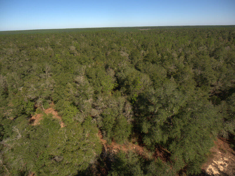 13 B Wiggins Road Holt, FL 32564 - Photo 6 of 15 DJI_0004