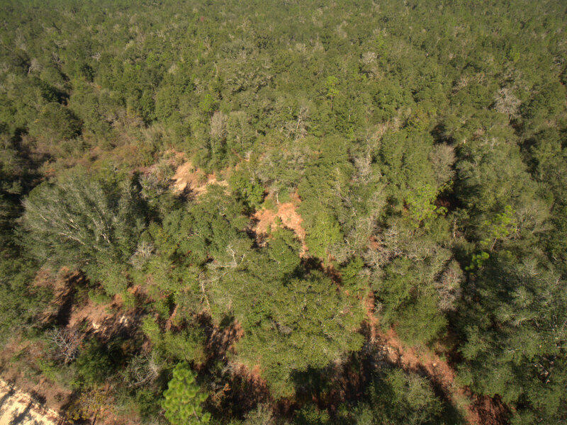 13 B Wiggins Road Holt, FL 32564 - Photo 7 of 15 DJI_0005