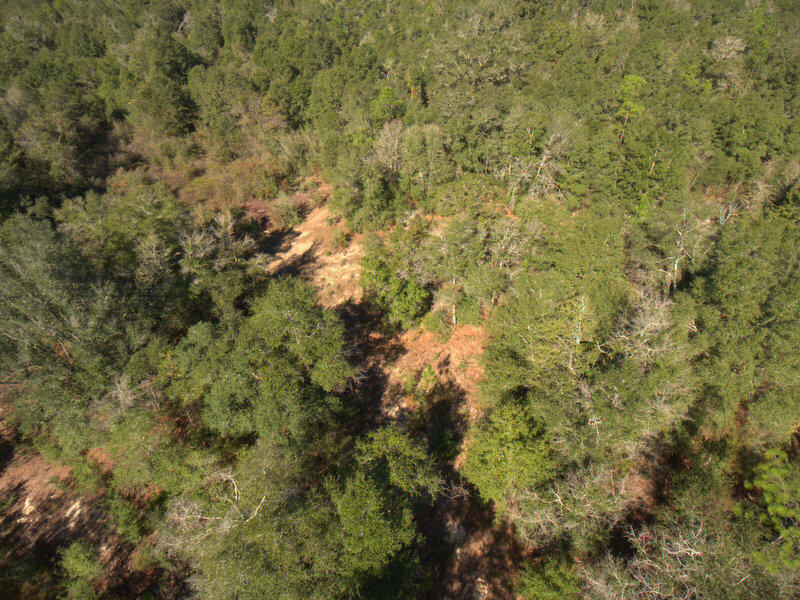 13 B Wiggins Road Holt, FL 32564 - Photo 8 of 15 DJI_0006
