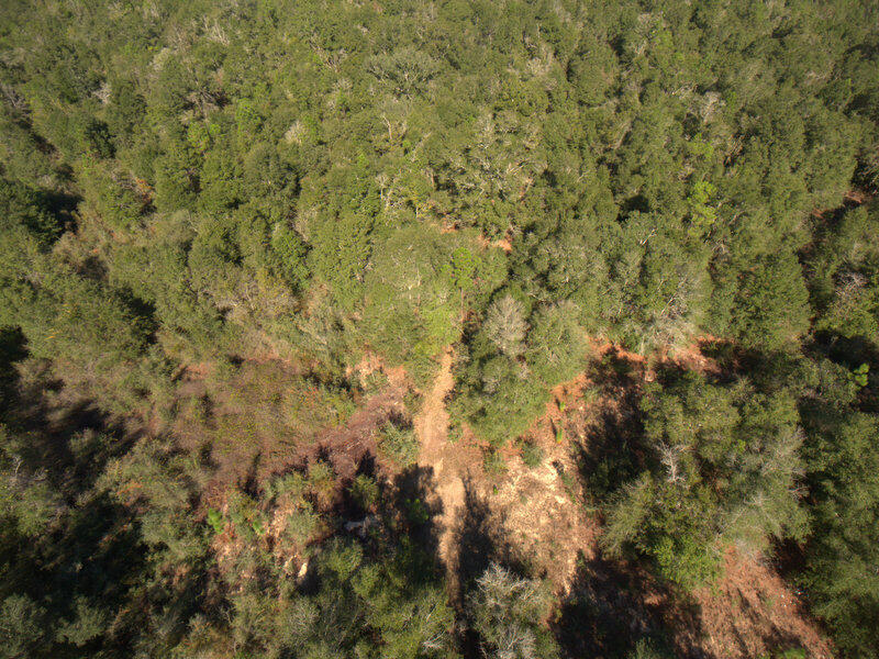 13 B Wiggins Road Holt, FL 32564 - Photo 9 of 15 DJI_0008