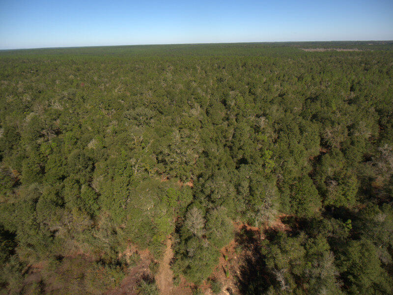 13 B Wiggins Road Holt, FL 32564 - Photo 10 of 15 DJI_0009
