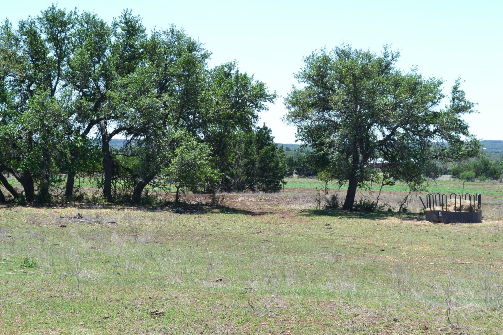 740 Madrone Ranch Trail Dripping Springs, TX 78620 - Photo 1 of 1 Gallery Image 1