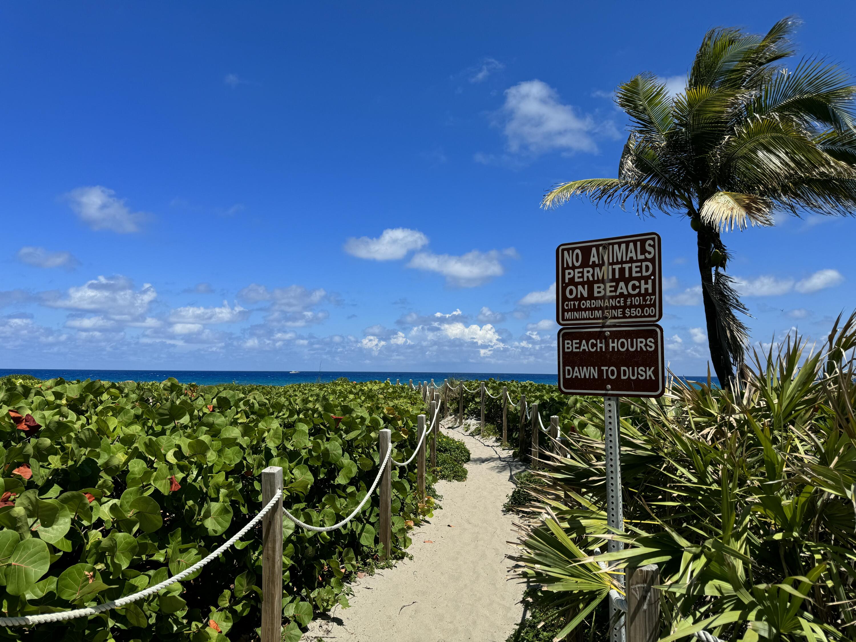 433 Flanders I Delray Beach, FL 33484 - Photo 60 of 60 IMG_0414
