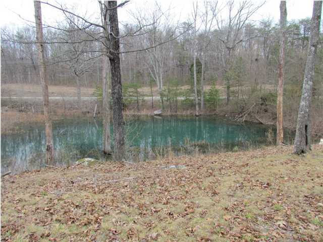 120 Edmister Road Sequatchie, TN 37374 - Photo 3 of 15 Additional Photo