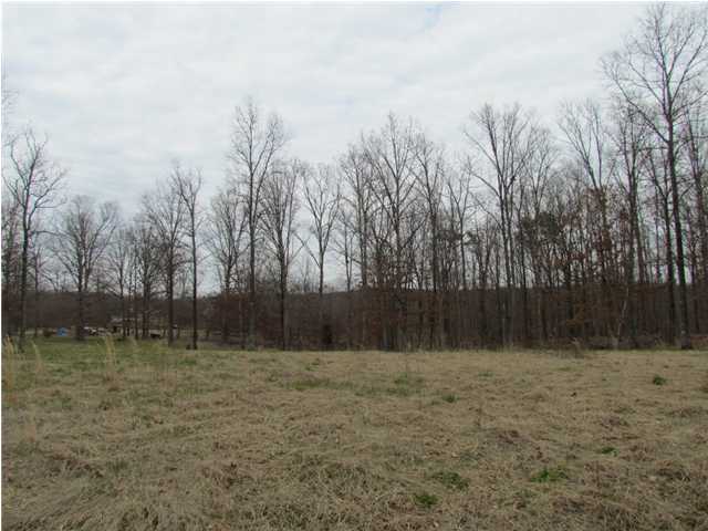 120 Edmister Road Sequatchie, TN 37374 - Photo 4 of 15 Additional Photo