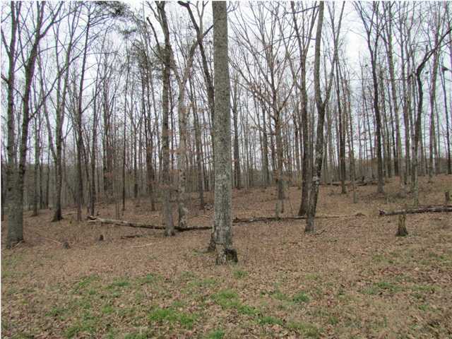 120 Edmister Road Sequatchie, TN 37374 - Photo 6 of 15 Additional Photo