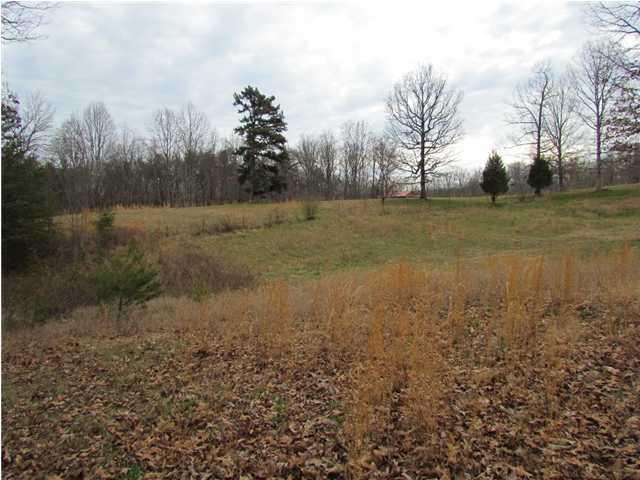 120 Edmister Road Sequatchie, TN 37374 - Photo 8 of 15 Additional Photo