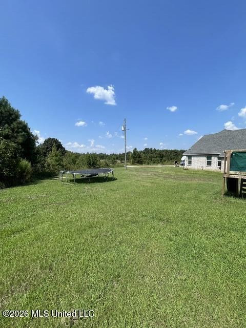 95 Squirrel Hollow Road Holly Springs, MS 38635 - Photo 26 of 31 IMG_5691