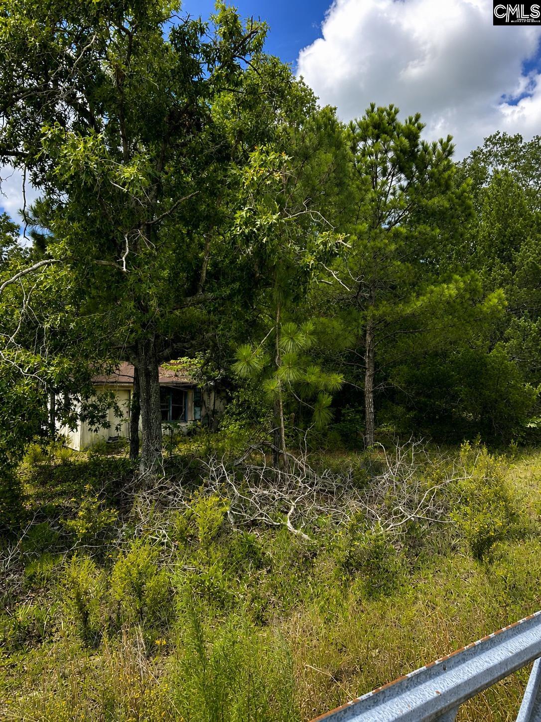 1778 Providence Road Orangeburg, SC 29118 - Photo 7 of 7