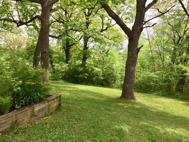 830 East Francis Road New Lenox, IL 60451 - Photo 15 of 20