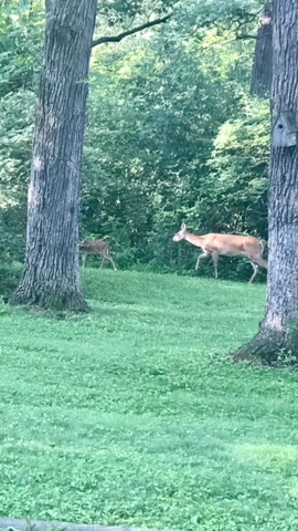830 East Francis Road New Lenox, IL 60451 - Photo 20 of 20