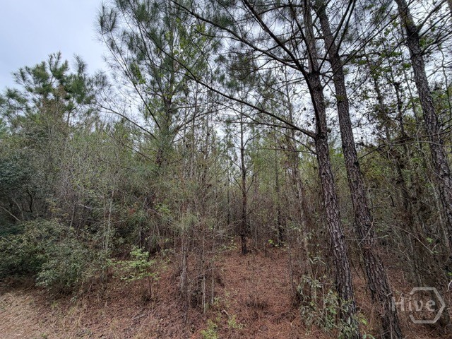 1 Race Path Road Rincon, GA 31326 - Photo 9 of 10