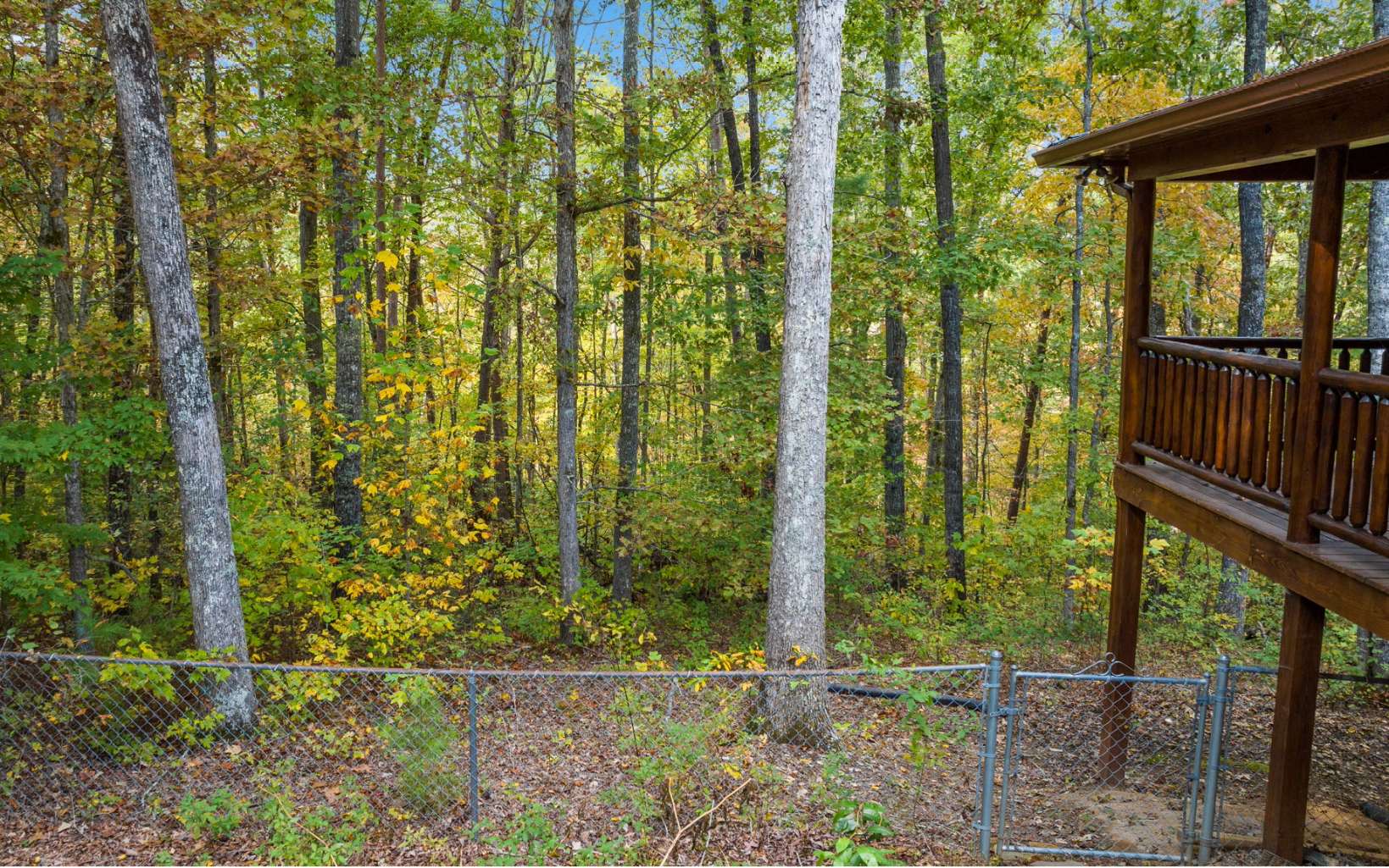 367 Linwood Drive Blue Ridge, GA 30513 - Photo 18 of 56 a view of a backyard