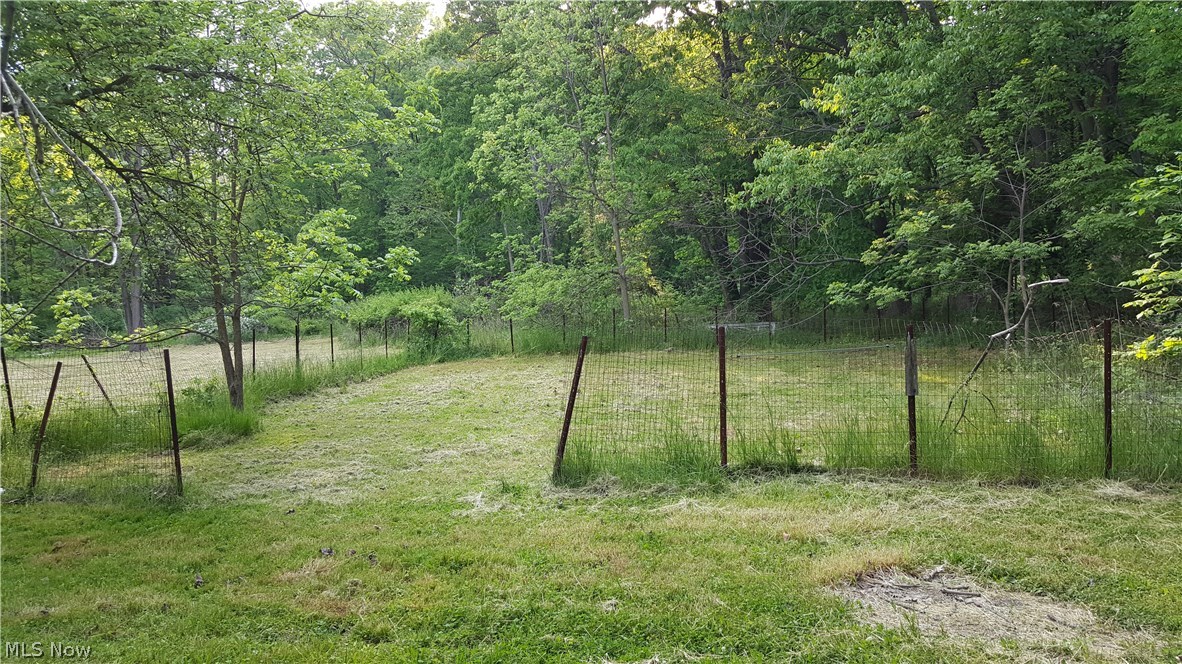 6770 Morley Road Painesville, OH 44077 - Photo 6 of 16 Gallery Image 6