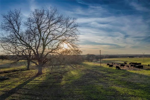$2,999,999 | 14867 Farm To Market 274 Ravenna Tx 75476, Bonham, TX 75418