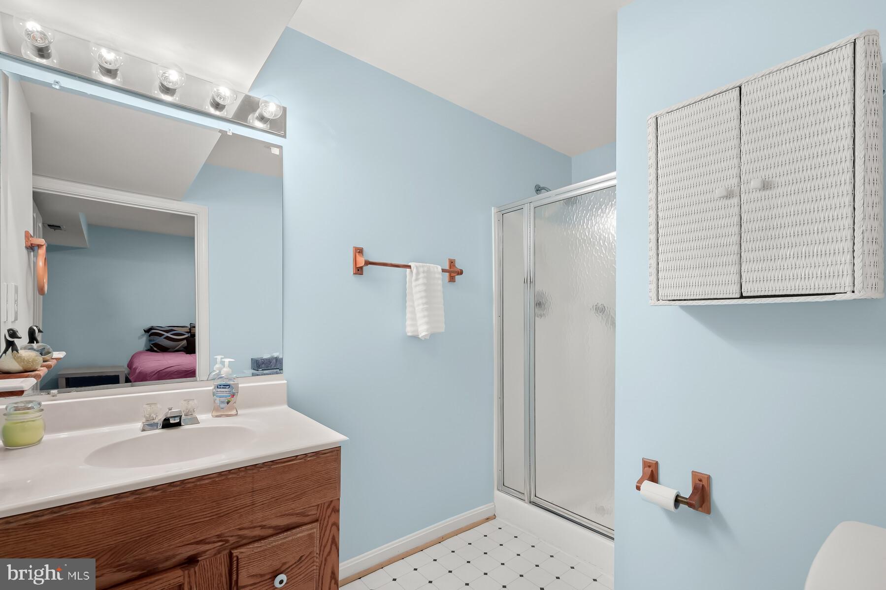 8522 Autumn Rust Road Ellicott City, MD 21043 - Photo 29 of 39 Lower level full bath