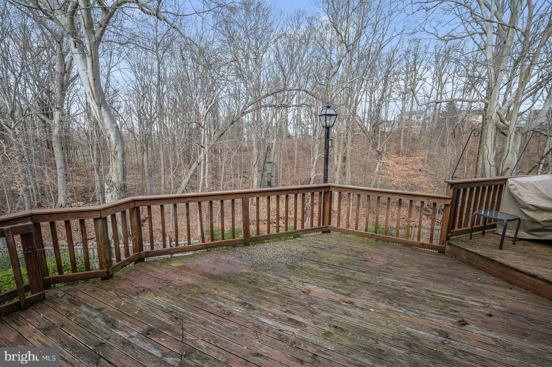8522 Autumn Rust Road Ellicott City, MD 21043 - Photo 30 of 39 Rear deck
