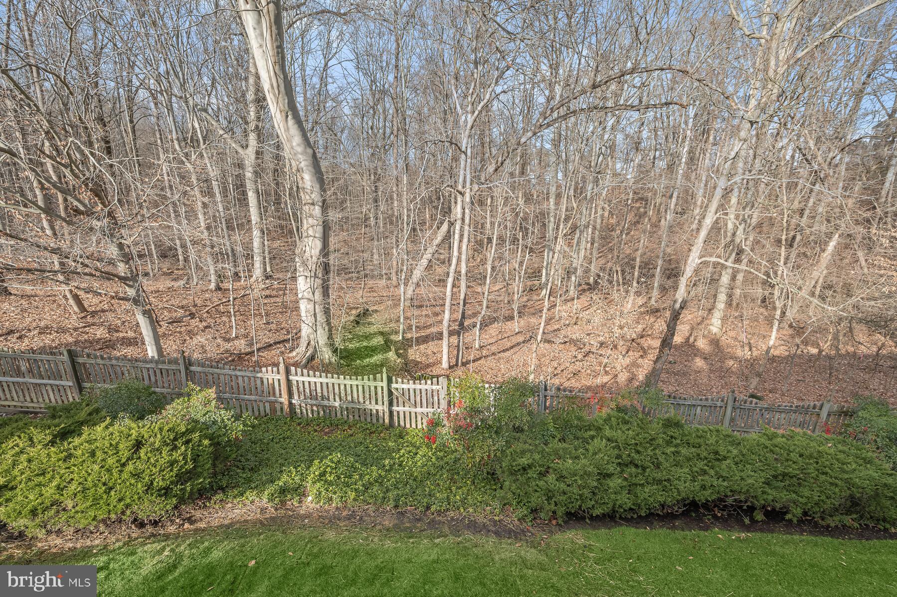 8522 Autumn Rust Road Ellicott City, MD 21043 - Photo 32 of 39 Beautiful views