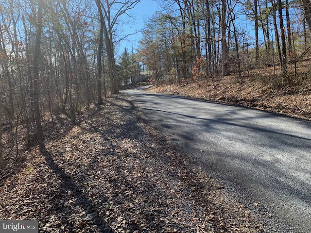Locust Ln Mount Mount Jackson, VA 22842 - Photo 2 of 10 a view of a yard with trees