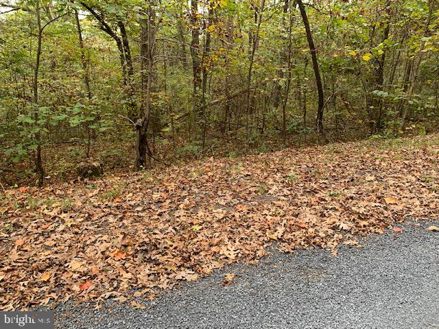 Locust Ln Mount Mount Jackson, VA 22842 - Photo 5 of 10 a view of a yard with large trees