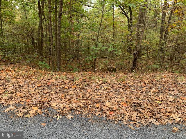 Locust Ln Mount Mount Jackson, VA 22842 - Photo 10 of 10 a view of a yard
