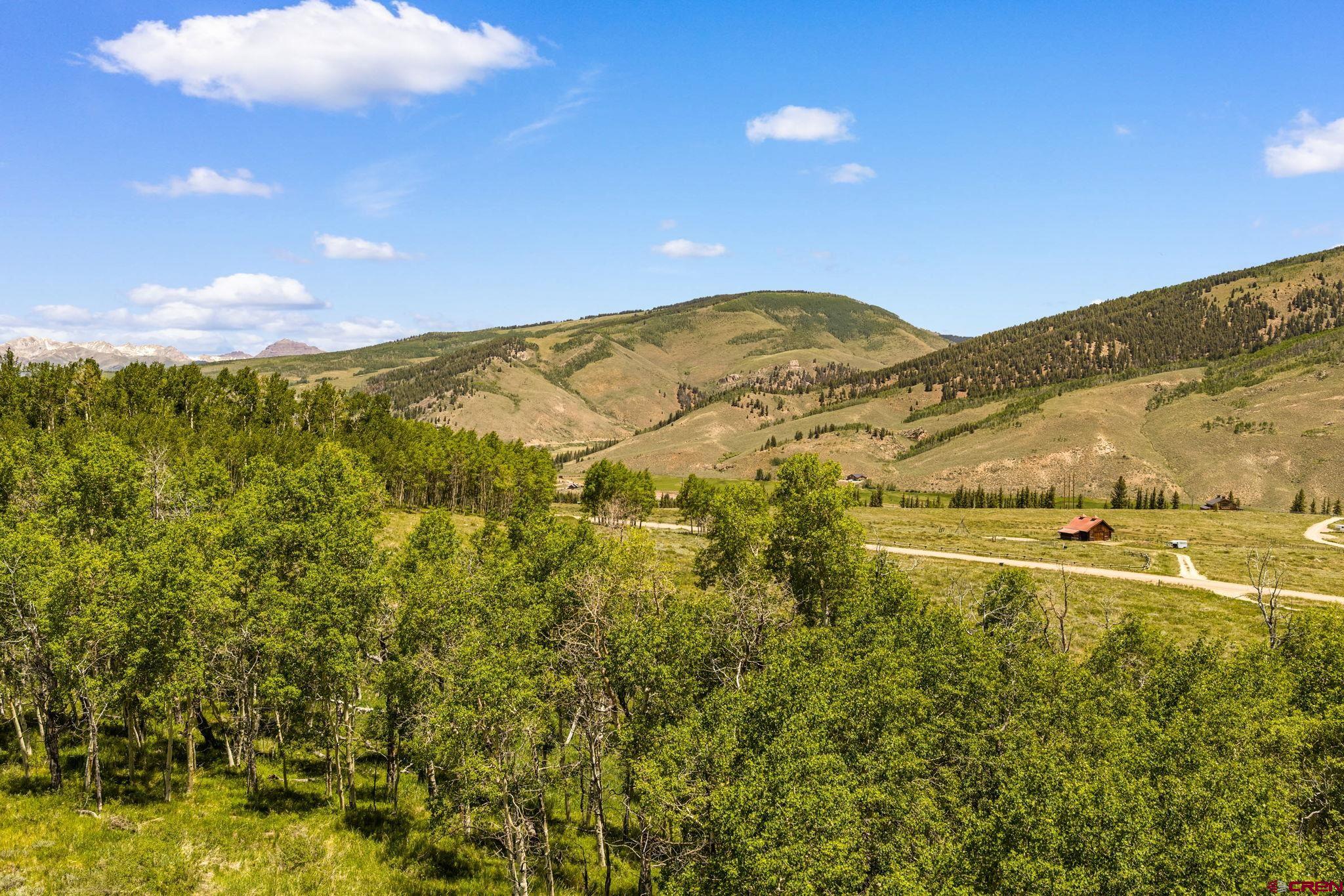 1175 Red Mountain Ranch Road Crested Butte, CO 81224 - Photo 5 of 24