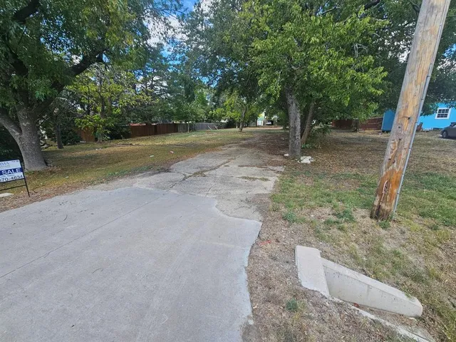a view of a road with large trees