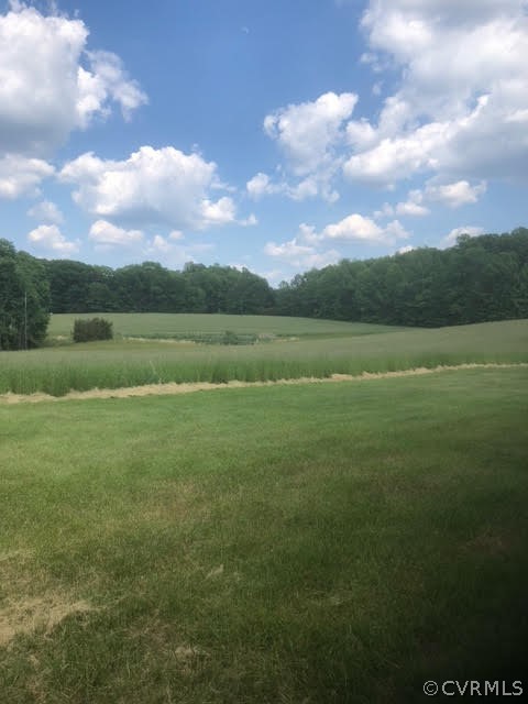 17401 Hewlett Road Beaverdam, VA 23015 - Photo 6 of 7 a view of an outdoor space and a yard