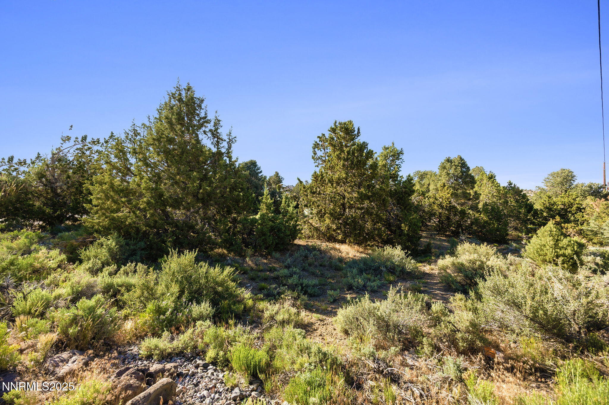 2260 Empire Road Reno, NV 89521 - Photo 44 of 49 a view of a tree with a yard