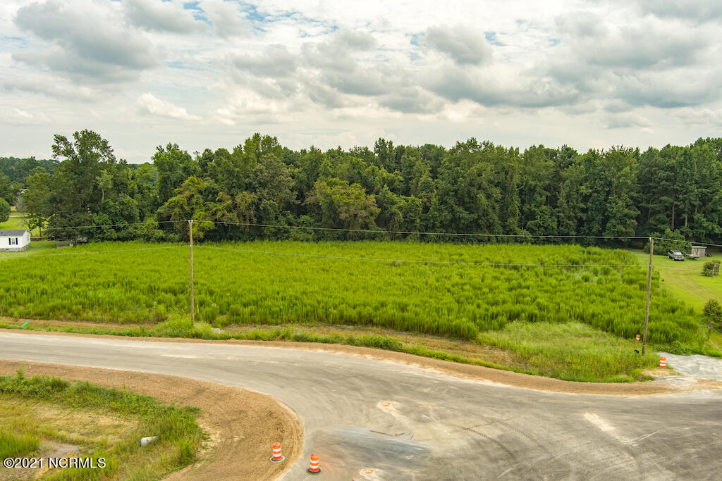 0 Cecil-Odie Road Clinton, NC 28328 - Photo 8 of 24 7