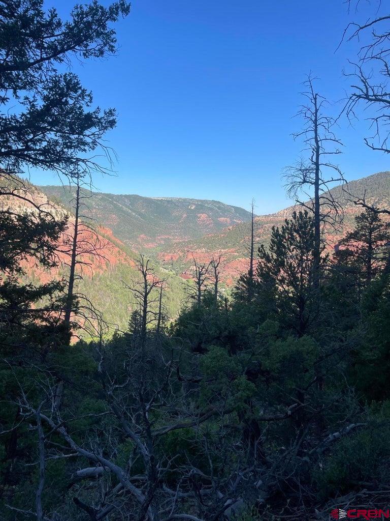 58p 58P Road Placerville, CO 81430 - Photo 22 of 34