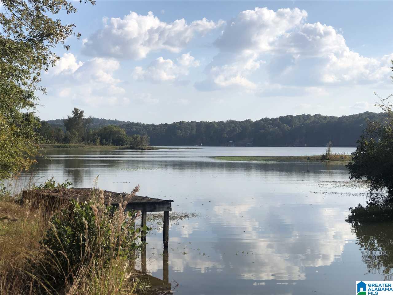 0 Carleton Point Lane, Unit 1 Wilsonville, AL 35186 - Photo 6 of 8