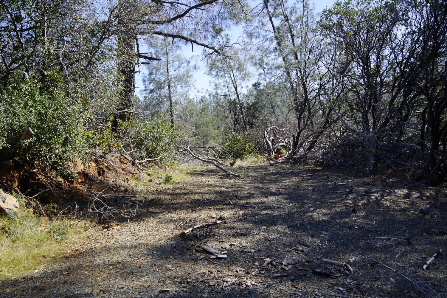 16076 Keson Place Grass Valley, CA 95949 - Photo 23 of 40