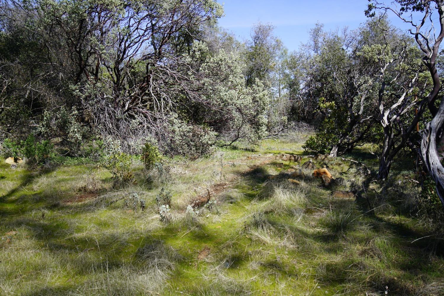 16076 Keson Place Grass Valley, CA 95949 - Photo 27 of 40