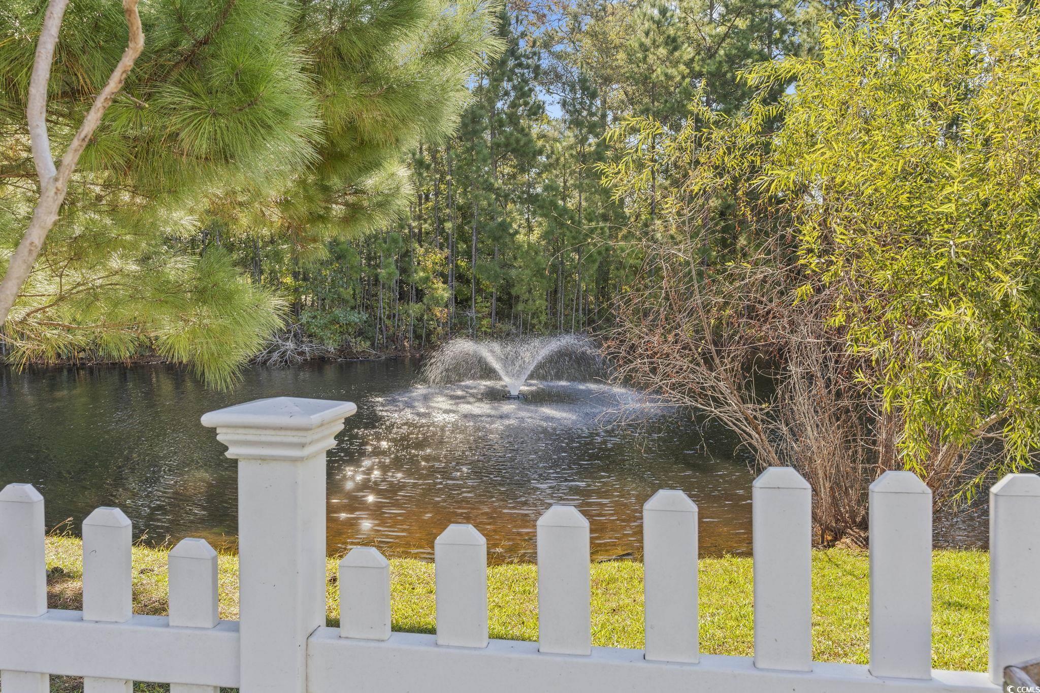235 Waties Drive Murrells Inlet, SC 29576 - Photo 35 of 39 View of water feature