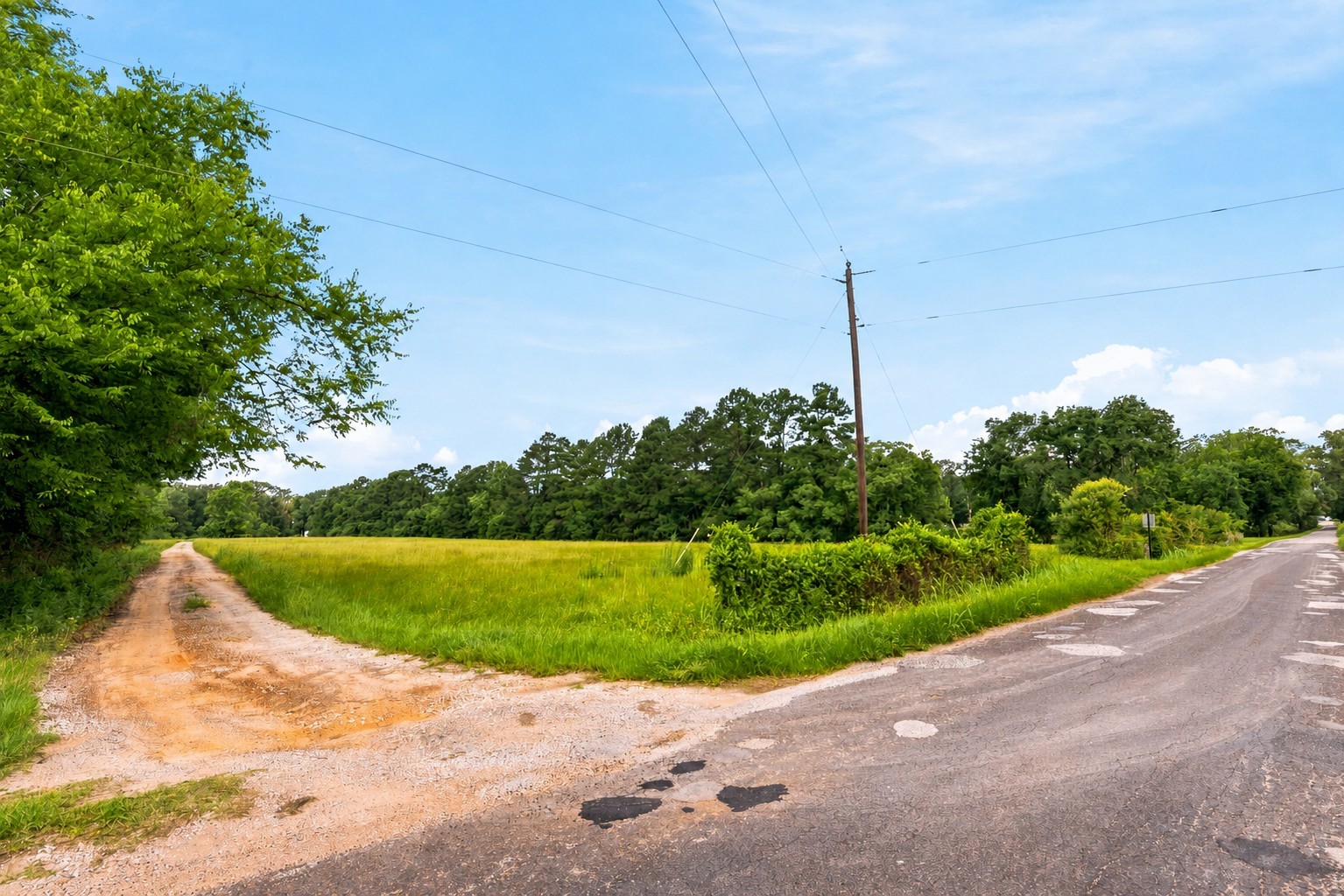 Lot 1 Mount Zion Road New Waverly, TX 77358 - Photo 9 of 33