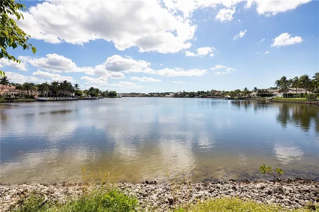 a view of a lake with a city