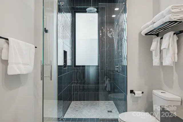 a bathroom with a shower and toilet