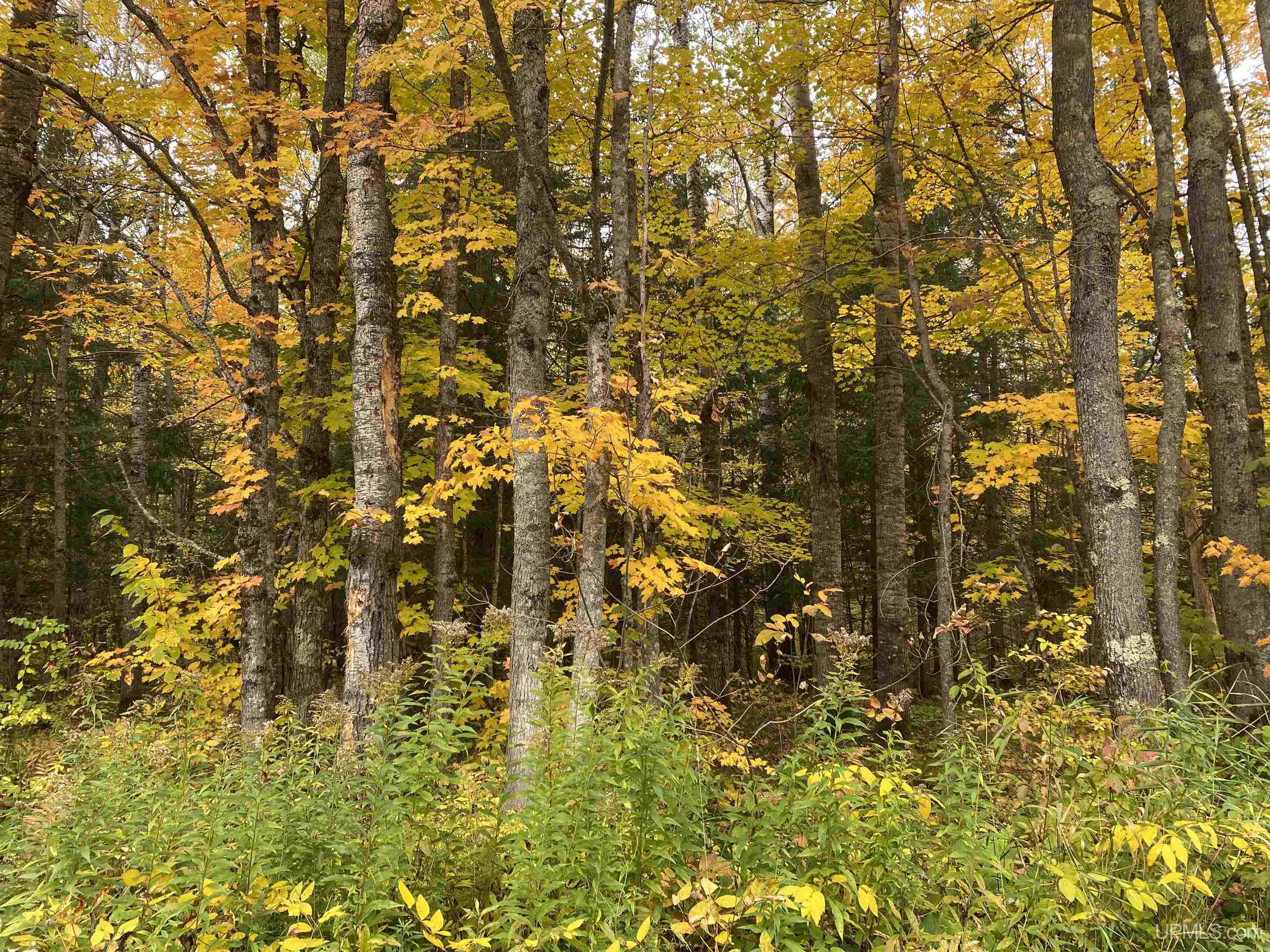 Tbd Tbd Heikkala Road Bessemer, MI 49911 - Photo 3 of 7