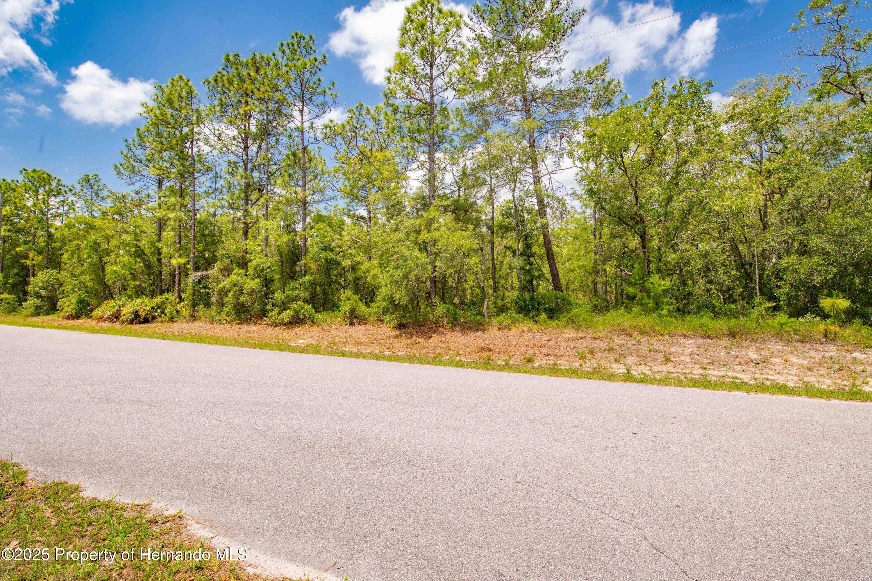 0 Mount Sparrow Road Brooksville, FL 34614 - Photo 4 of 14